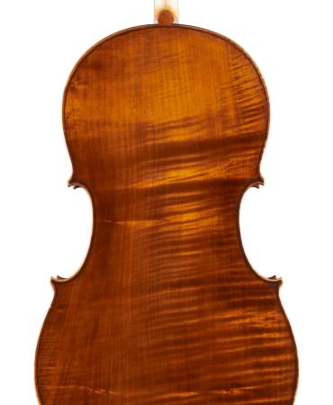 pasqualesardone en cello-luthier 026