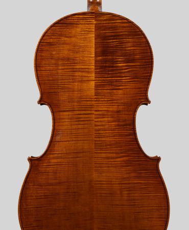 pasqualesardone it liutaio-violoncello 012