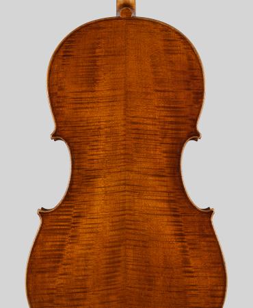 pasqualesardone it liutaio-violoncello 015