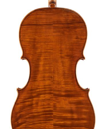 pasqualesardone it liutaio-violoncello 019