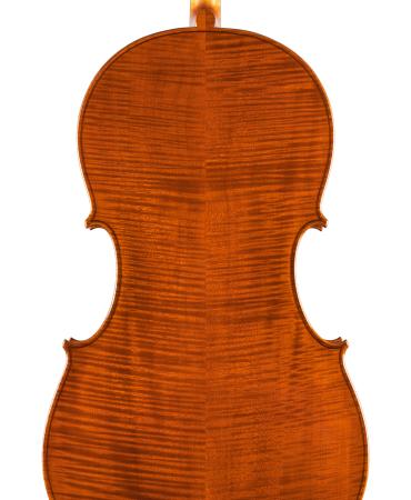 pasqualesardone it liutaio-violoncello 020