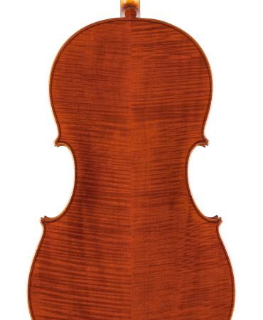 pasqualesardone it liutaio-violoncello 021