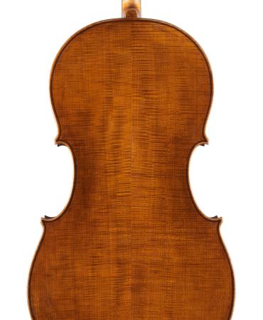 pasqualesardone it liutaio-violoncello 024