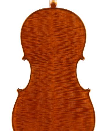 pasqualesardone it liutaio-violoncello 025