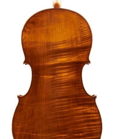 pasqualesardone it liutaio-violoncello 027