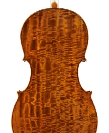 pasqualesardone it liutaio-violoncello 028