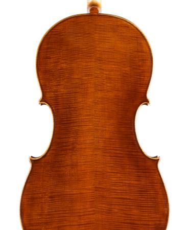 pasqualesardone it liutaio-violoncello 029