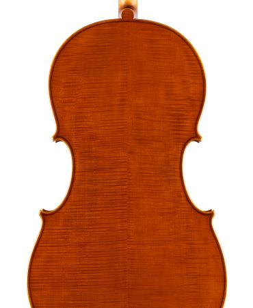 pasqualesardone it liutaio-violoncello 030