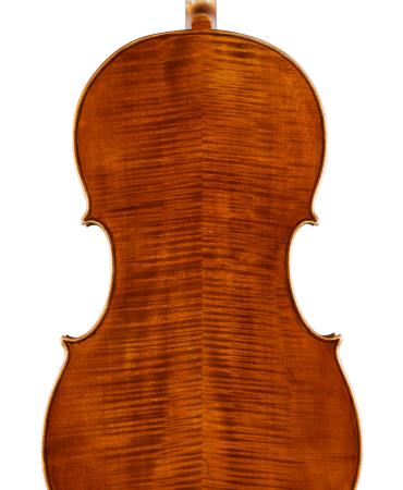 pasqualesardone it liutaio-violoncello 031