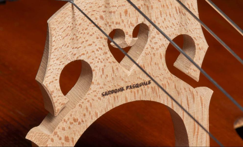 pasqualesardone en cello-luthier 004